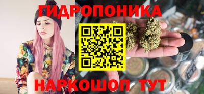 хмурый Гатчина