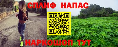 хмурый Гатчина